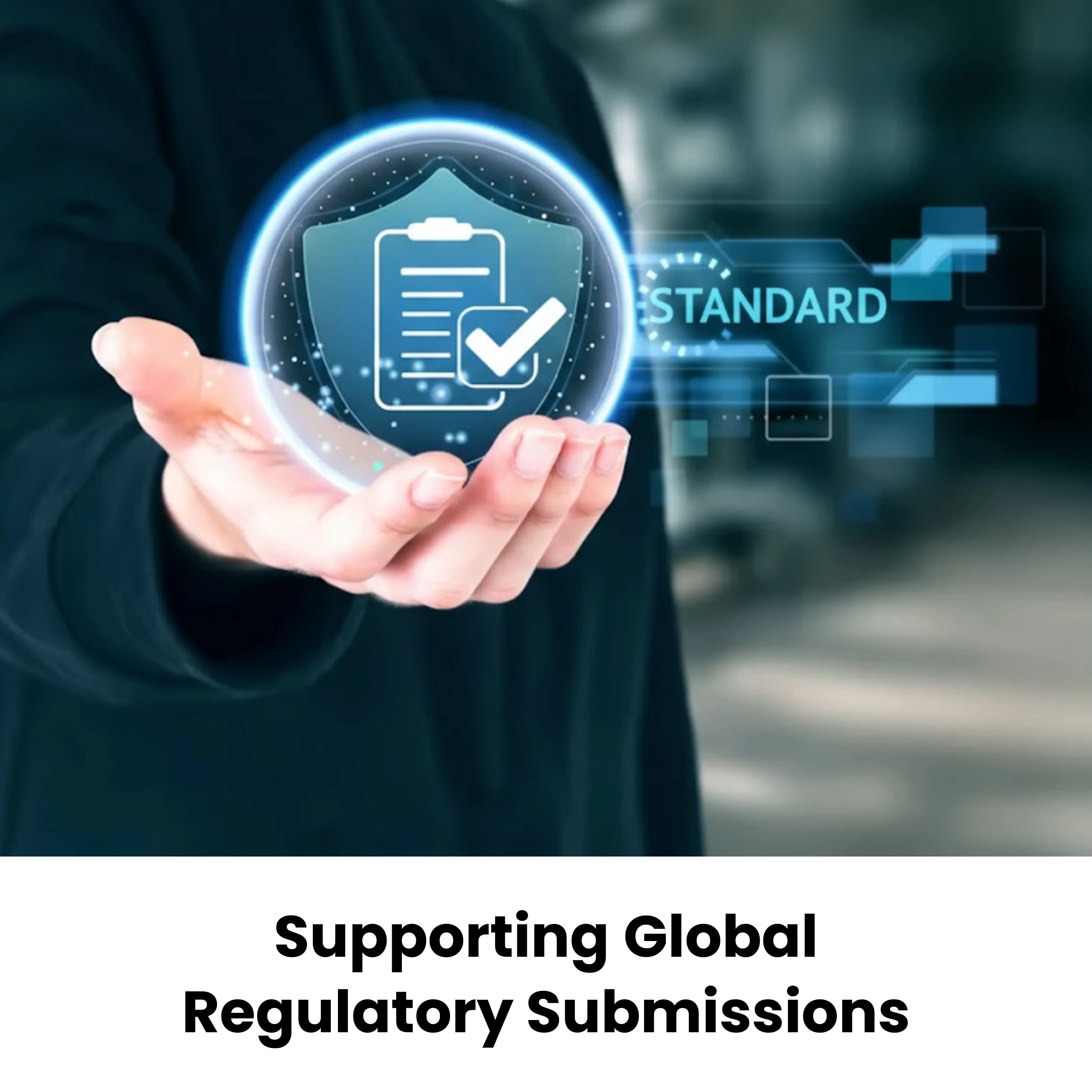 Supporting Global Regulatory Submissions